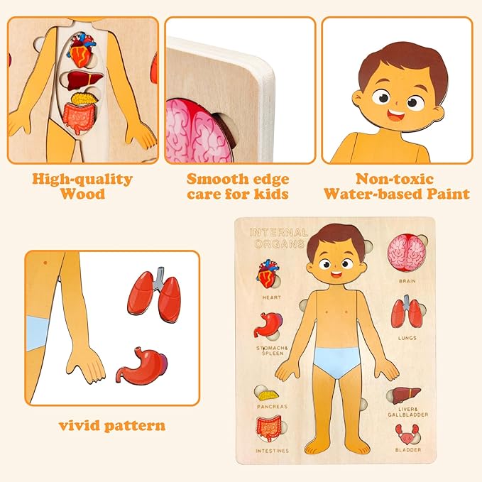 Wooden Body Puzzles for Kids, Toddler Montessori 14 Pieces Boy Anatomy Puzzle, Human Body Learning Toy with Internal Organs Early STEM Educational Toy for Boys and Girls Ages 3 4 5 6 Years Old