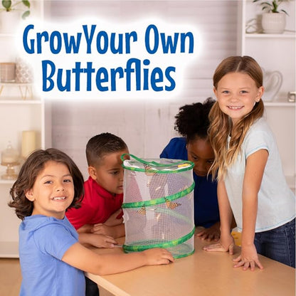 Insect Lore Birthday Butterfly Garden | Butterfly Growing Kit with Live Caterpillars | 5 Live Caterpillars, Reusable Habitat, STEM Butterfly Journal, 10 Inch Birthday Card & More