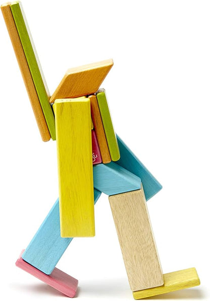 Tegu 14 Piece Magnetic Wooden Block Set in Tints