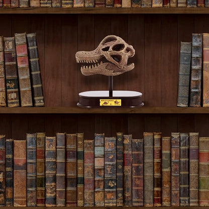 ArtCreativity Dinosaur Excavation Kit for Kids, Brachiosaurus Skull Excavating Set with Fossil Digging Tools and Stand, Fun Science Activity Toy, Educational Dinosaur Gift for Boys and Girls