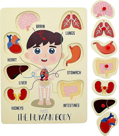 Blue Panda 2 Pack Educational Wood Peg Anatomy Puzzle Toys for Kids Game, Human Body Parts