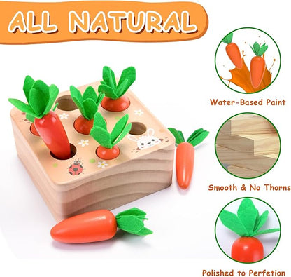 Montessori Toys for 1 Year Old, Carrots Harvest Wooden Baby Toys for 6-12 Months Educational Shape Sorting Matching Toys for Toddler Fine Motor Skill Development, Gift for Kids Birthday Easter Toys