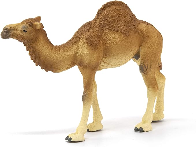 Schleich Wild Life Realistic Dromedary Camel Figurine - Authentic and Highly Detailed Wild Animal Toy, Durable for Education and Fun Play, Perfect for Boys and Girls, Ages 3+, Multicolor, 3.9 inch