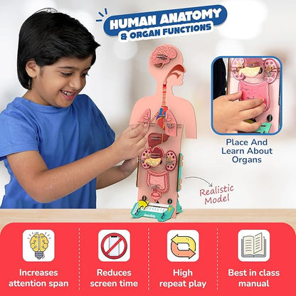 Smartivity Human Body Model for Kids 6-12 Years | Learn Body Organs, Functions with Fun Card Games | Cool Birthday Gift for Boys & Girls | DIY STEM Science Toys for Kids 6,7,8,9,10,11,12 Years I