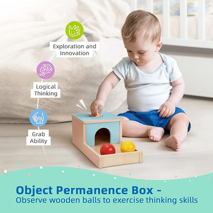 TOOKYLAND Montessori Toys for Babies 6-12 Months, 7 in 1 Learning Educational Set Wooden Toys (Includes Baby Rattle, Object Permanence Box, Wooden Book, Teething Toy and More)