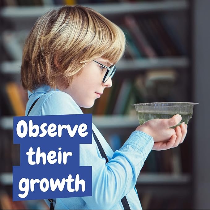 Science4you Artemias Aqua Creatures (Triops Family) - Aquatic Dragons Kit for Kids, Sea Creatures Aquarium + Aqua Monkey Dragon Eggs Included, Ecosystem, Toy and Gift for Kids Age 6 7 8 9 10+