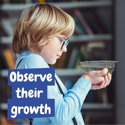 Science4you Artemias Aqua Creatures (Triops Family) - Aquatic Dragons Kit for Kids, Sea Creatures Aquarium + Aqua Monkey Dragon Eggs Included, Ecosystem, Toy and Gift for Kids Age 6 7 8 9 10+