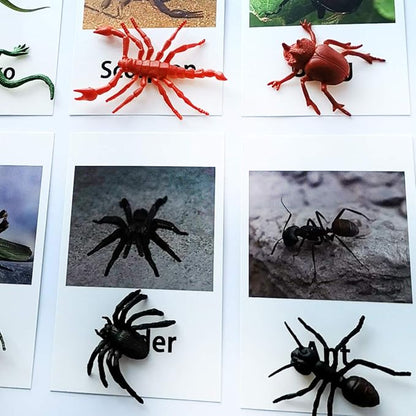 MEROCO Montessori Animal Match - Insect Animal Figurines with Matching Cards Language Montessori Materials Preschool Learning Toy NEWT008