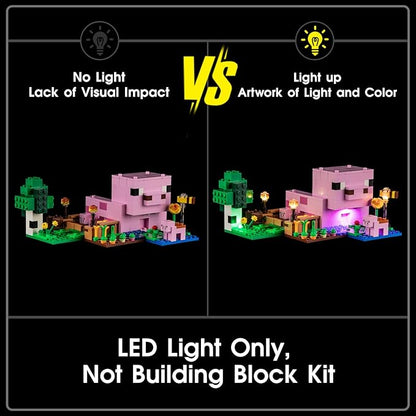 LED Light for Lego 21268 The Baby Pig House Set, Light Kit Compatible with Lego 21268 Building Blocks Model, Not Included The Model Set