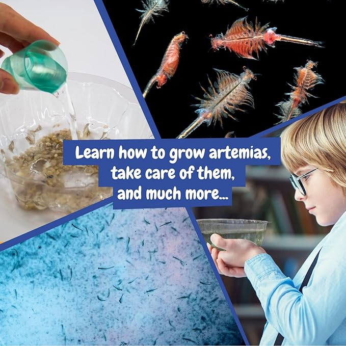 Science4you Artemias Aqua Creatures (Triops Family) - Aquatic Dragons Kit for Kids, Sea Creatures Aquarium + Aqua Monkey Dragon Eggs Included, Ecosystem, Toy and Gift for Kids Age 6 7 8 9 10+