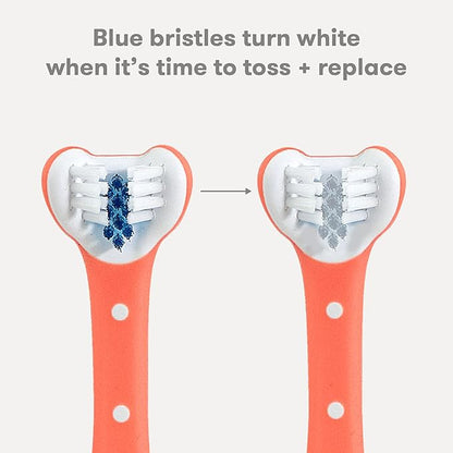 Frida Baby Triple-Angle Toothhugger Training Toddler Toothbrush | Toddler Toothbrush 2 Years and Up, Cleans All Sides at Once | 2 Pack (Pink + Blue)