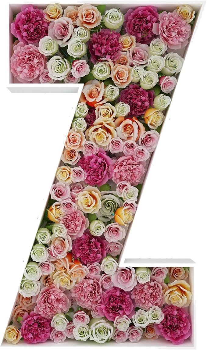 2FT Letter Z Mosaic Balloon Frame Letter DIY Fillable Letters Kit for Birthday Party Wedding Backdrop Decor