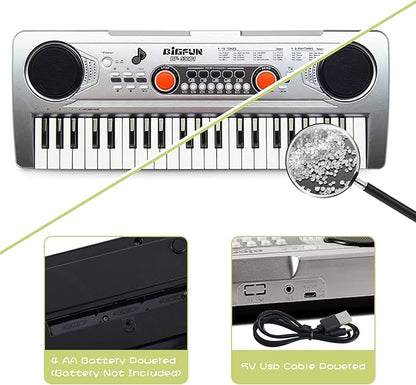 Raimy Piano Keyboard for Kids 49 Keys Portable Keyboard Piano Early Learning Educational Electronic Musical Instrument Toys Gifts for 3 4 5 6 7 8 9 Year Old Boys and Girls (Silver)