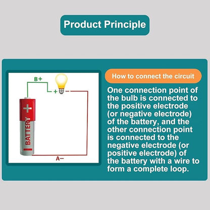 Electrical Circuit Experiment Kit, Small Bulb Lights Up Kit Basic Physic Science Playset Educational Kit A OneSize Science Kits and Toys Flash Cards Learning and Education