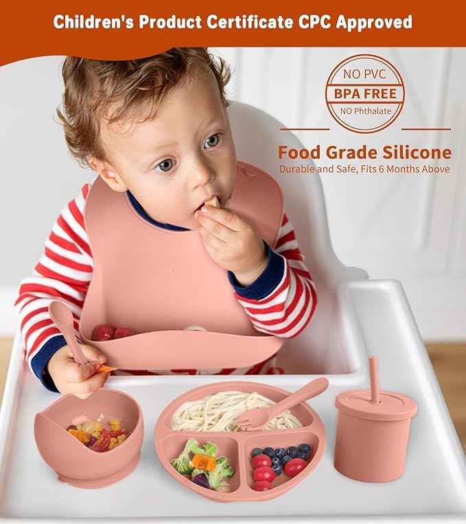 ECLIP Silicone Baby Feeding Set, 10 Pcs Baby Led Weaning Supplies with Suction Bowl Divided Plate Adjustable Bib Soft Spoon Fork Snack Cup with Lid Drinking Cup, Utensil (Brick Red)