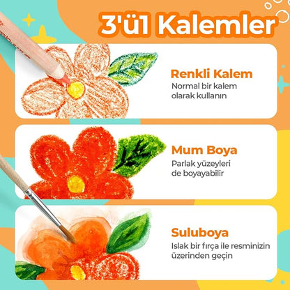 3 In 1 Color Pencils | 12 Colors Set inc. Brush And Sharpener | Non-Toxic And Vegan Colors For Ages 3 And Up