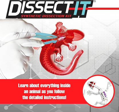 Dissect-It Kit for Kids 6 Plus, Simulated Synthetic Lab Dissection Toy | Salamander | Authenticated STEM Toys | Kids Learn Animal Science, Biology, and Anatomy
