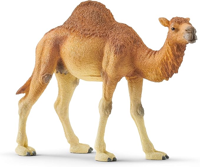 Schleich Wild Life Realistic Dromedary Camel Figurine - Authentic and Highly Detailed Wild Animal Toy, Durable for Education and Fun Play, Perfect for Boys and Girls, Ages 3+, Multicolor, 3.9 inch