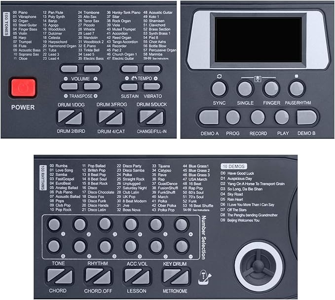 Hricane Piano Keyboard, 61 Keys Beginner Electronic Keyboard Portable Digital Music Keyboard, Early Education Music Instrument with Microphone & Music Sheet Stand