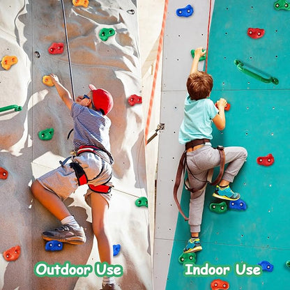 OSPNIEEK 20 PCS Rock Climbing Holds for Kids, Adult Rock Wall Climbing Kit with Handles and Mounting Hardware, Multi-Colored Climbing Wall Grips for Indoor and Outdoor Playground Accessories Play Set