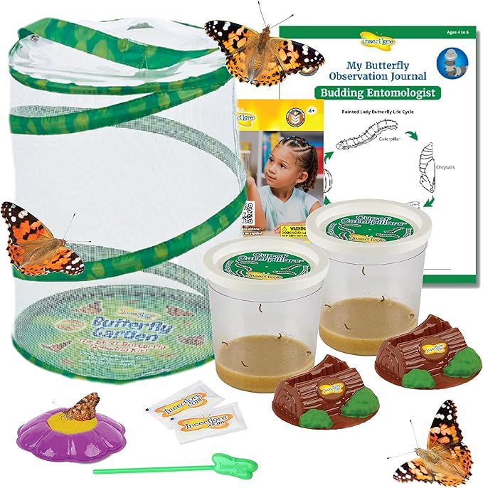 Insect Lore Butterfly Garden | Original 12" Habitat and Two Cups of Live Baby Caterpillars | Life Science & STEM Education Kit