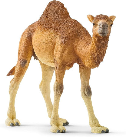 Schleich Wild Life Realistic Dromedary Camel Figurine - Authentic and Highly Detailed Wild Animal Toy, Durable for Education and Fun Play, Perfect for Boys and Girls, Ages 3+, Multicolor, 3.9 inch