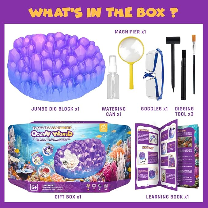 Ocean Fossil Dig Kit, Dig up 20+ Real Shells & Seasnails, STEM Educational Activity Set Sea Creatures Excavation Toy for Kids, Marine Biology Geology Science Kit, Gift for Boys and Girls Age 6+