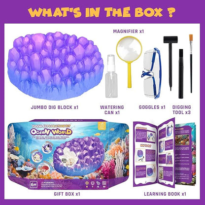 Ocean Fossil Dig Kit, Dig up 20+ Real Shells & Seasnails, STEM Educational Activity Set Sea Creatures Excavation Toy for Kids, Marine Biology Geology Science Kit, Gift for Boys and Girls Age 6+