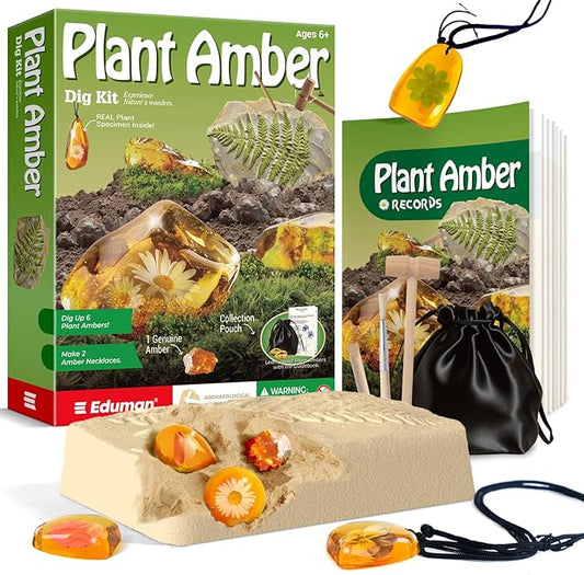 EDUMAN Amber Dig Kit - 6 Artificial Plant Resin Specimens, Biology Fossil Excavation Set with Natural Amber, STEM Inspired Educational Toy for Kids Ages 6-12, for Boys & Girls