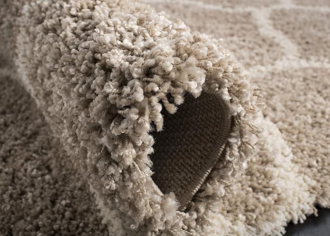 SAFAVIEH Hudson Shag Collection Runner Rug - 2'3" x 18', Beige & Ivory, Trellis Design, Non-Shedding & Easy Care, 2-inch Thick Ideal for High Traffic Areas in Living Room, Bedroom (SGH280S)