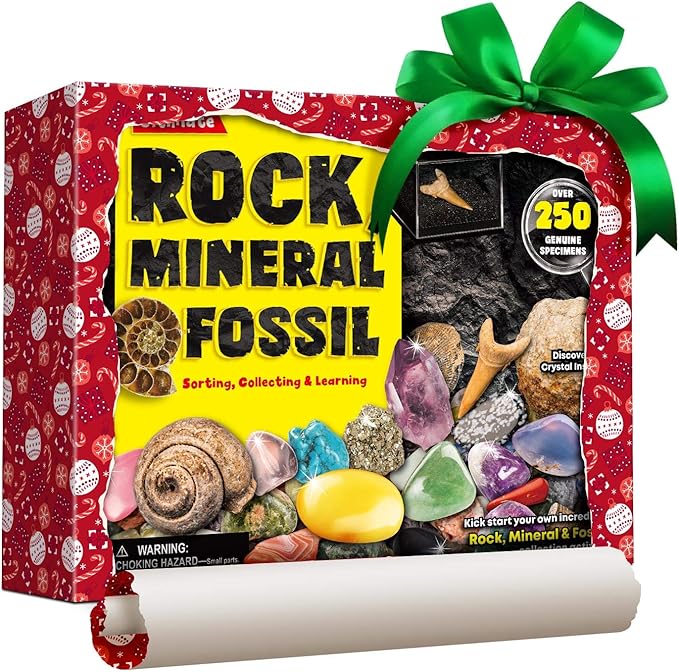 Rocks Minerals & Fossils Collection for Kids 250+ Real Gemstones and Crystals Rock Identification Kit includes Display Case, Genuine Fossils, Geodes Great Geology, Science Gift for Boys & Girls
