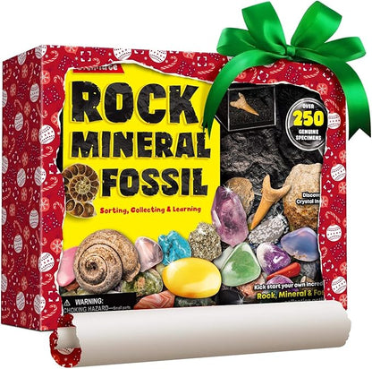 Rocks Minerals & Fossils Collection for Kids 250+ Real Gemstones and Crystals Rock Identification Kit includes Display Case, Genuine Fossils, Geodes Great Geology, Science Gift for Boys & Girls
