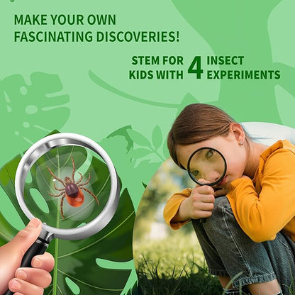 SpiceBox Bug Catcher Collection Kit for Kids STEM Learning Toys Educational Activities Science Nature Exploration, 4 Insect Experiment Projects