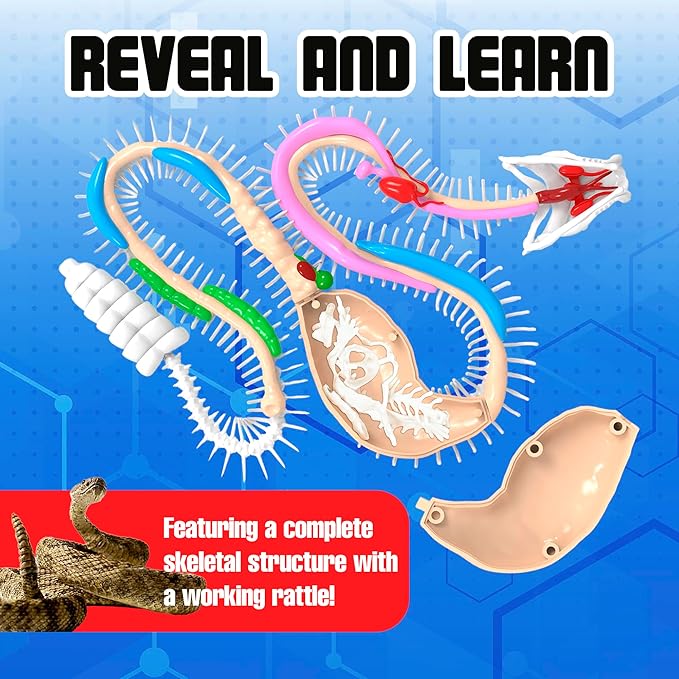 Top Secret Toys Rattlesnake Super Lab Dissect It Kit for Kids, Synthetic Dissection Kids Science Kit to Learn Biology, STEM Toys for 6 Year Old and Up