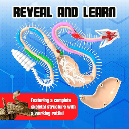 Top Secret Toys Rattlesnake Super Lab Dissect It Kit for Kids, Synthetic Dissection Kids Science Kit to Learn Biology, STEM Toys for 6 Year Old and Up