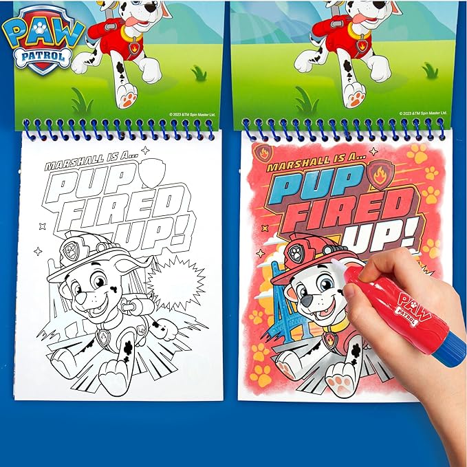Horizon Group USA Paw Patrol Aqua Art