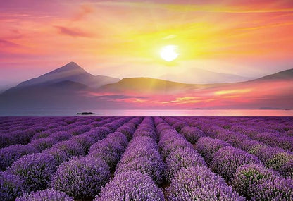 1000 Piece Puzzles for Adults Lavender Jigsaw Puzzles 1000 Pieces Fun Games