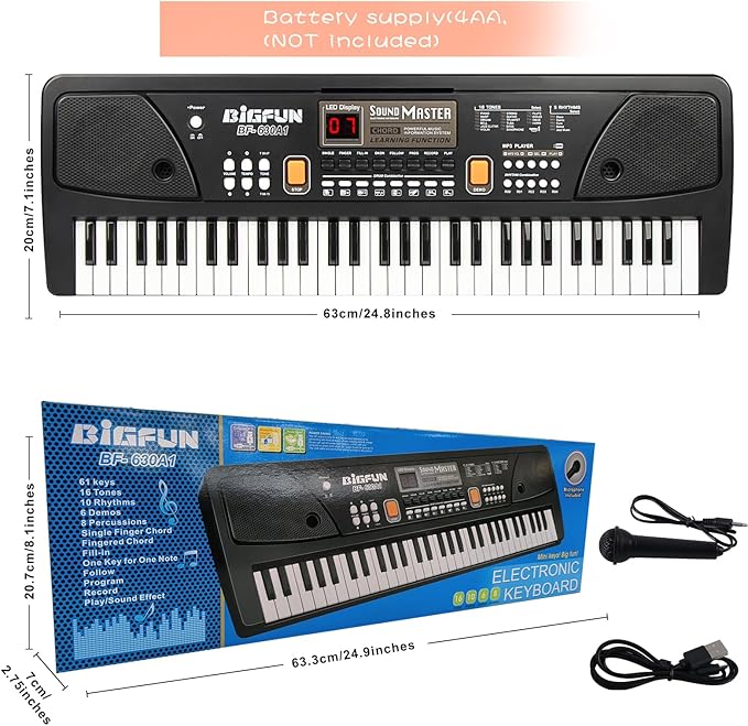 Raimy Piano Keyboard for Beginners, 61 Keys Portable Electronic Digital Piano with Microphone, Learning Educational Music Keyboard Piano for Kids Gifts Toys for Boys Girls Toddlers (Black)