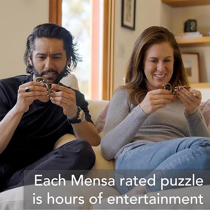 BePuzzled |Cross Hanayama Cast Metal Brain Teaser Puzzle Level 3 Mensa-Rated Puzzles for Kids and Adults Ages 12 and Up