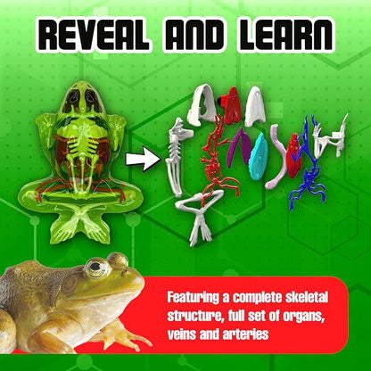 Dissect-It Kit for Kids Plus Upgraded Frog Dissection Toy Kit, Realistic Lab Experience, No Use of Real Frog! No Odor, STEM Toys, Animal Science & Anatomy Home Learning for Kids, Boys, Girls