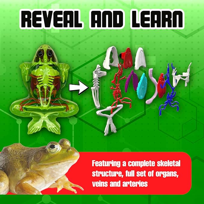 Dissect-It Kit for Kids 6 Plus, Simulated Synthetic Lab Dissection Toy | Frog Super Lab | Authenticated STEM Toys | Kids Learn Animal Science, Biology, and Anatomy