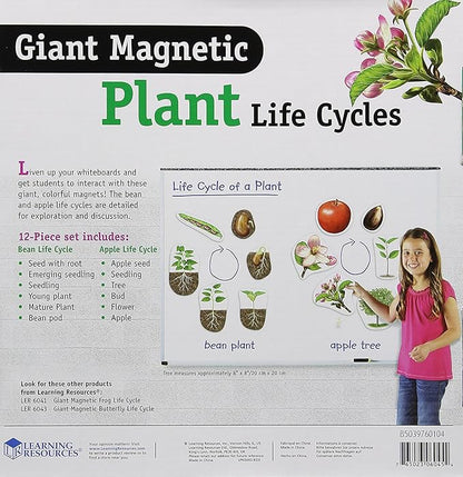 Learning Resources Giant Magnetic Plant Life Cycle - 12 Pieces, Science Exploration Activities for Kids, Homeschool and Classroom Science Supplies