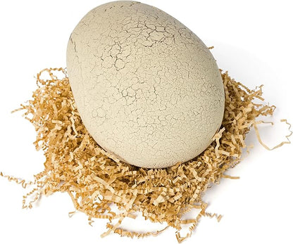 Jurassic World Interactive Toy Dinosaur & Egg, Hatch & Train Your own Baby Dino with 100+ Sounds & Reactions, Kids Toys for Boys & Girls Aged 5 & Up