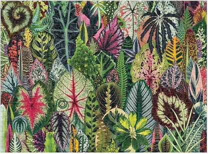Galison Houseplant Jungle 1000 Piece Jigsaw Puzzle for Adults – Plant Jigsaw Puzzle with Mix of Succulents & Other Household Plants – Fun Indoor Activity, Multicolor