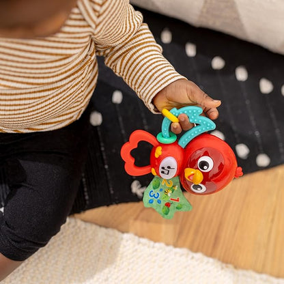 Baby Einstein Roxys Bright Flight Musical Baby Toy & Teether, Plays Real Bird Sounds with 10+ Melodies, Multisensory, Ages 3 Months and Up