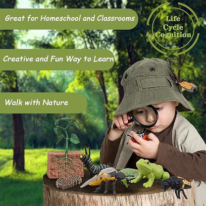 Mbrain 4pcs Bee Growth Cycle with Flash Cards,Life Cycle Learning & Education Toys,Montessori Toys,Gift for Girl & Boy for 3 4 5 6 7 Year Old (Bee)