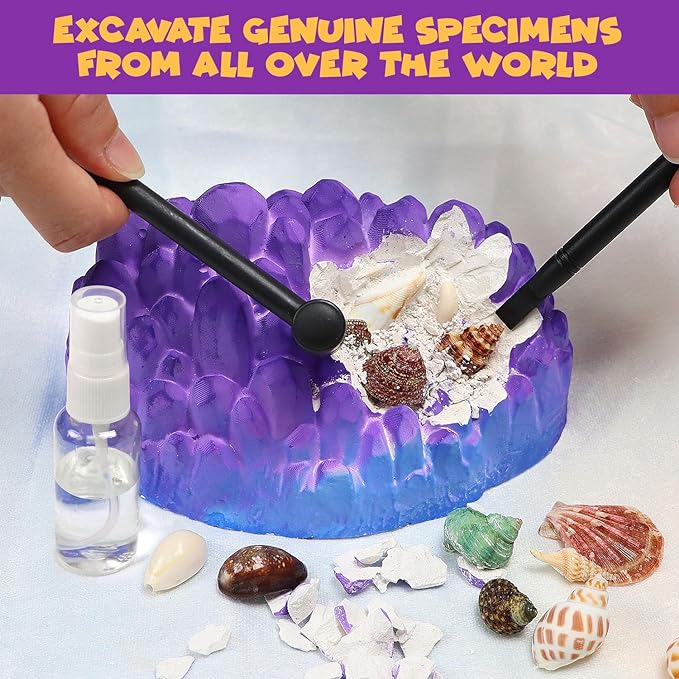 Ocean Fossil Dig Kit, Dig up 20+ Real Shells & Seasnails, STEM Educational Activity Set Sea Creatures Excavation Toy for Kids, Marine Biology Geology Science Kit, Gift for Boys and Girls Age 6+