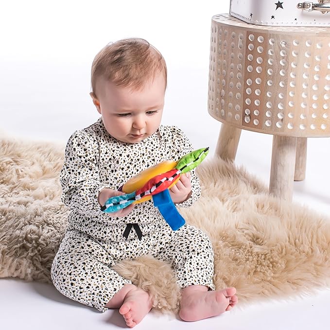 Baby Einstein Star Bright Symphony Plush Musical Take-Along Toy, Ages Newborn + (Pack of 1)