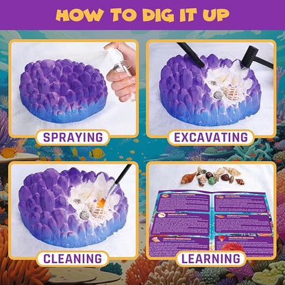 Ocean Fossil Dig Kit, Dig up 20+ Real Shells & Seasnails, STEM Educational Activity Set Sea Creatures Excavation Toy for Kids, Marine Biology Geology Science Kit, Gift for Boys and Girls Age 6+