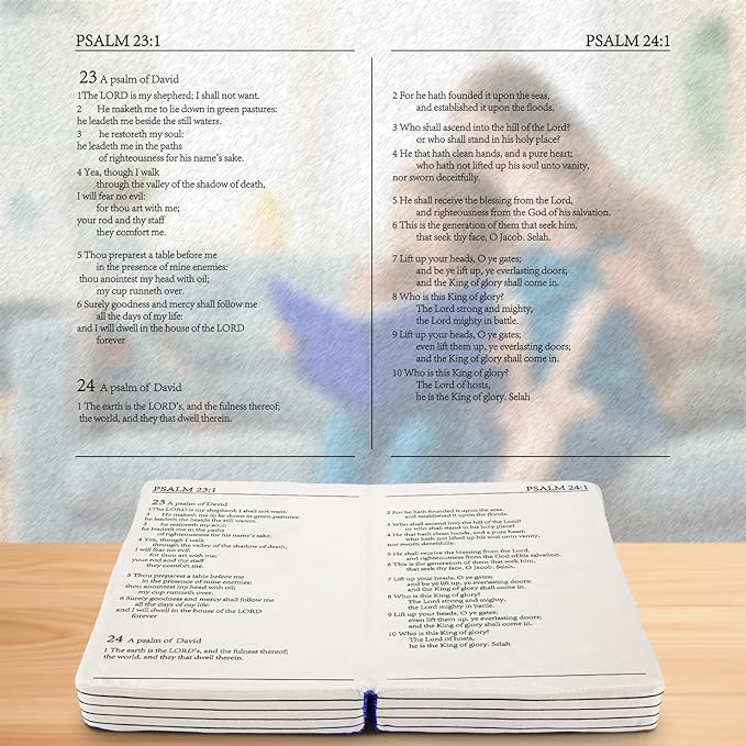 Children's Cartoon Plush Toy Throw Pillows, Christmas holiday Bible Book Pillow that Opens, Home Aesthetic Room Decorative Pillow, Kids Pillow, for Bedroom Sofa Cushion Chair Couch Bed (Blue)